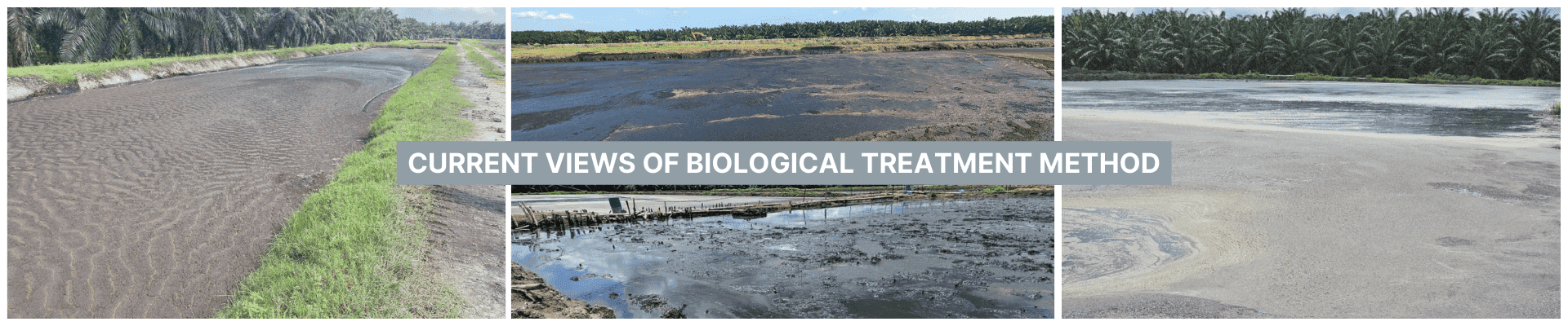 Meru Jaya Pome Solutions Sdn Bhd - Palm Oil Mill Effluent Treatment