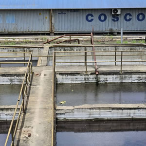 Indonesia Site Visit